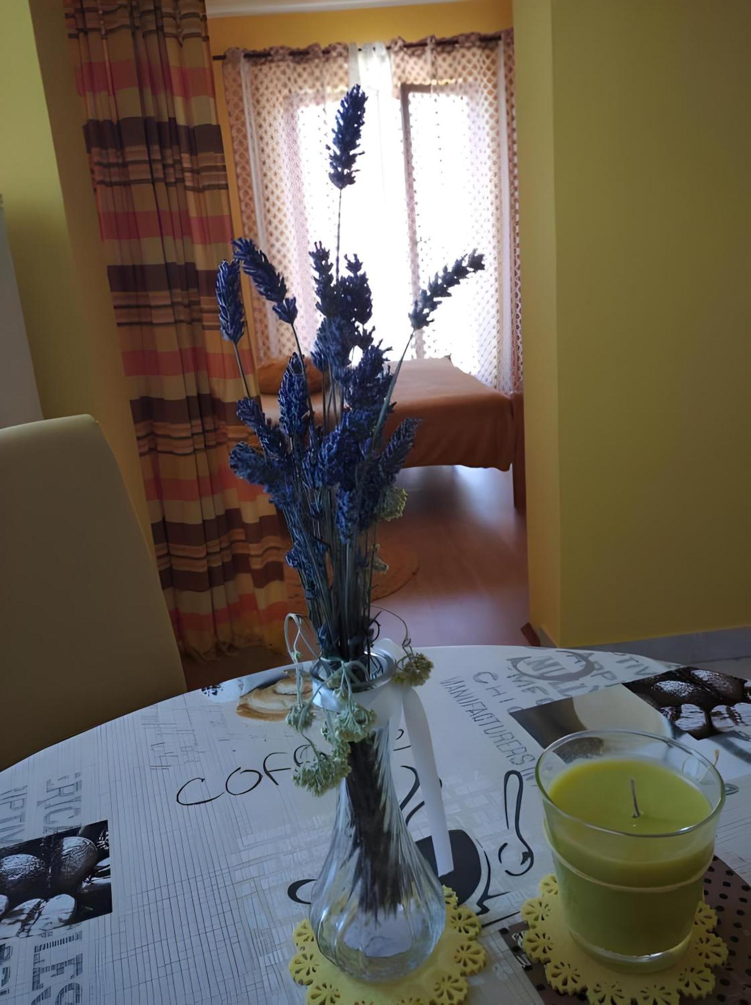 Cozy Apartments Danica Novalja With Terrace - First Floor 外观 照片